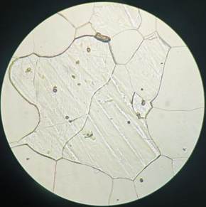 微信图片_20240817103359