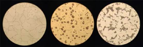 图片包含 桌子, 不同描述已自动生成