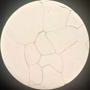 微信图片_20240817102302