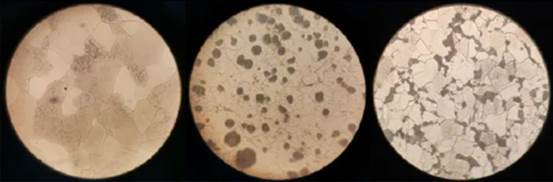 图片包含 食物, 桌子, 室内, 盘子描述已自动生成